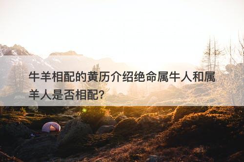 牛羊相配的黄历介绍绝命属牛人和属羊人是否相配？