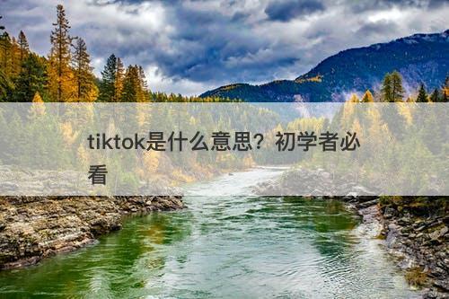 tiktok是什么意思？初学者必看