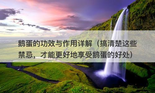 鹅蛋的功效与作用详解（搞清楚这些禁忌，才能更好地享受鹅蛋的好处）