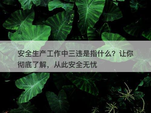安全生产工作中三违是指什么？让你彻底了解，从此安全无忧