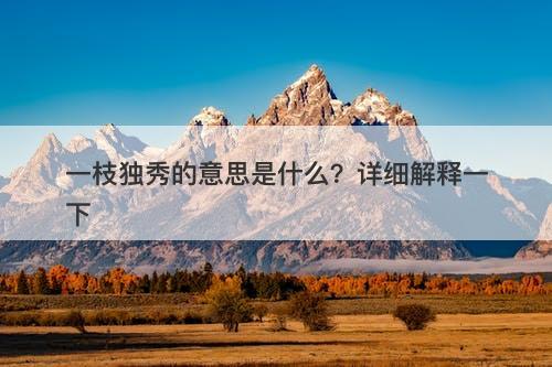 一枝独秀的意思是什么？详细解释一下