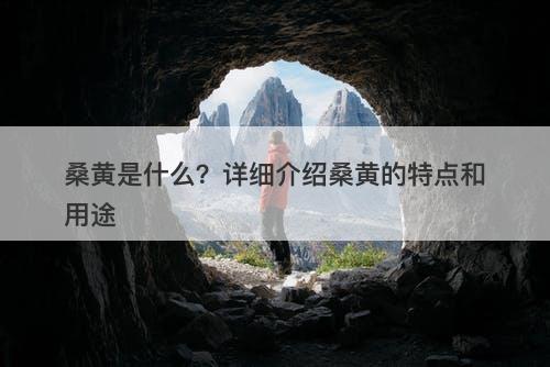 桑黄是什么？详细介绍桑黄的特点和用途