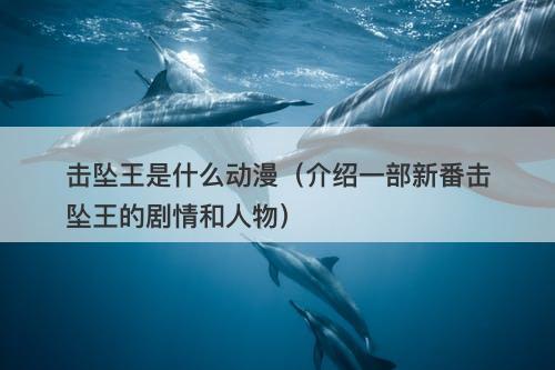 击坠王是什么动漫（介绍一部新番击坠王的剧情和人物）