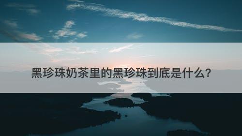 黑珍珠奶茶里的黑珍珠到底是什么？