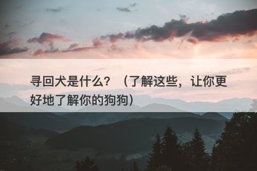 寻回犬是什么？（了解这些，让你更好地了解你的狗狗）