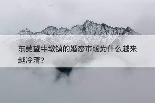 东莞望牛墩镇的婚恋市场为什么越来越冷清？