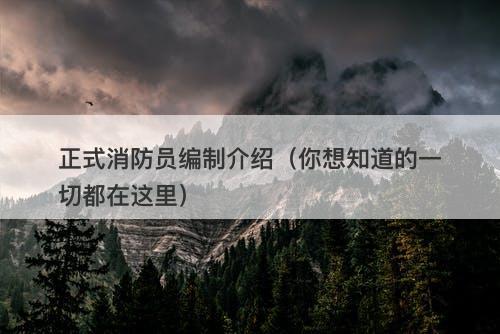 正式消防员编制介绍（你想知道的一切都在这里）