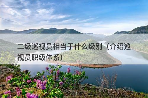 二级巡视员相当于什么级别（介绍巡视员职级体系）