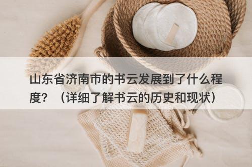 山东省济南市的书云发展到了什么程度？（详细了解书云的历史和现状）