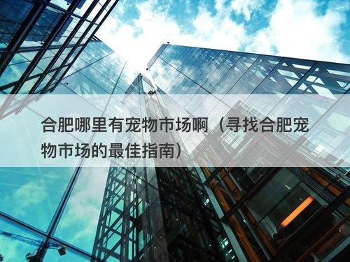 合肥哪里有宠物市场啊（寻找合肥宠物市场的最佳指南）