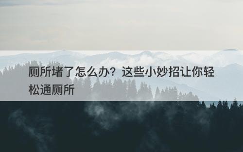 厕所堵了怎么办？这些小妙招让你轻松通厕所