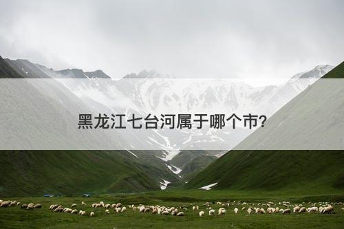 黑龙江七台河属于哪个市？