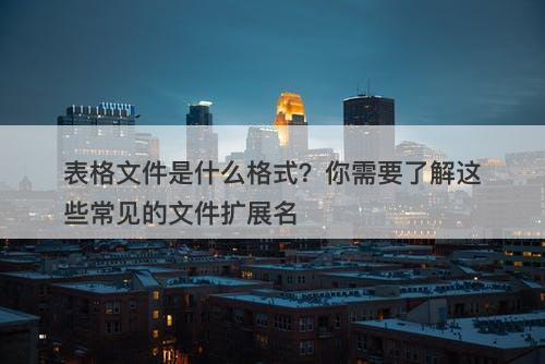 表格文件是什么格式？你需要了解这些常见的文件扩展名