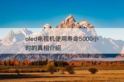 oled电视机使用寿命5000小时的真相介绍