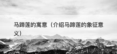 马蹄莲的寓意（介绍马蹄莲的象征意义）