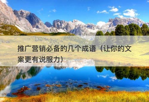 推广营销必备的几个成语（让你的文案更有说服力）