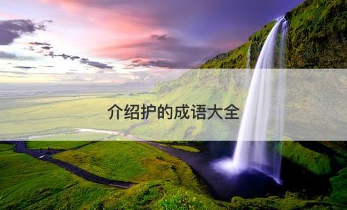介绍护的成语大全