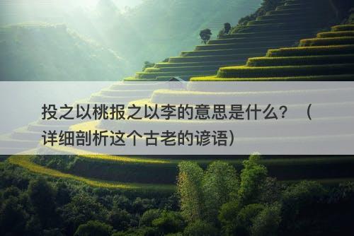 投之以桃报之以李的意思是什么？（详细剖析这个古老的谚语）