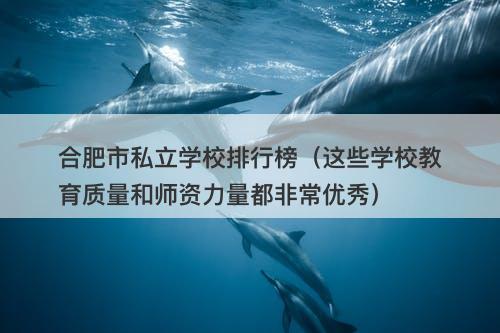 合肥市私立学校排行榜（这些学校教育质量和师资力量都非常优秀）-图1