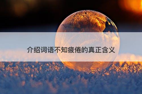 介绍词语不知疲倦的真正含义-图1