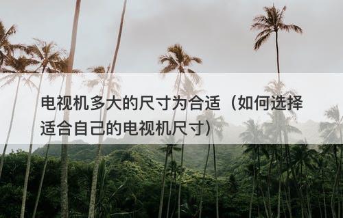 电视机多大的尺寸为合适（如何选择适合自己的电视机尺寸）
