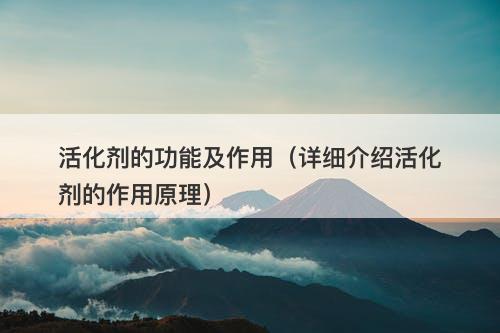 活化剂的功能及作用（详细介绍活化剂的作用原理）