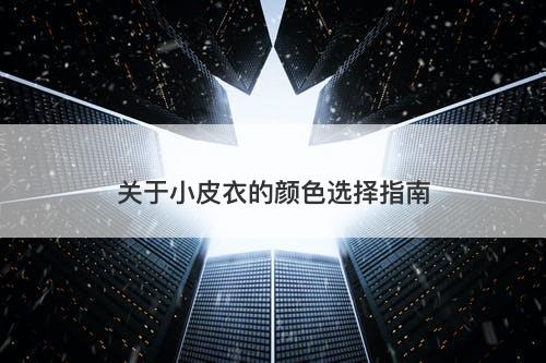 关于小皮衣的颜色选择指南