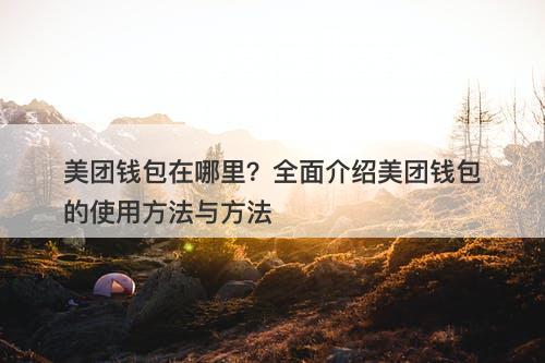 美团钱包在哪里？全面介绍美团钱包的使用方法与方法