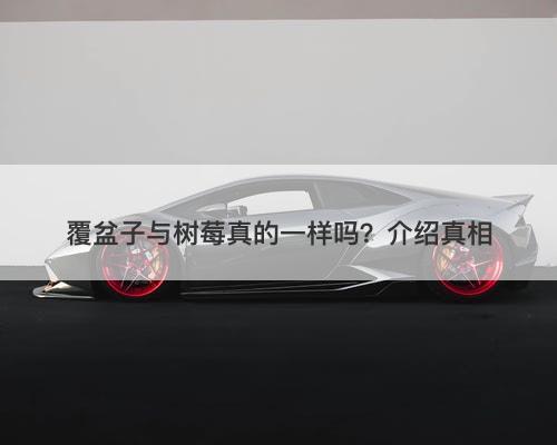 覆盆子与树莓真的一样吗？介绍真相