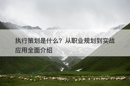 执行策划是什么？从职业规划到实战应用全面介绍