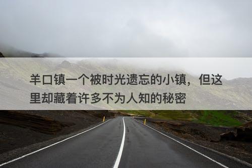 羊口镇一个被时光遗忘的小镇，但这里却藏着许多不为人知的秘密
