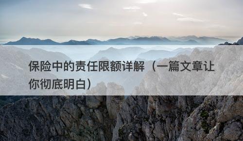 保险中的责任限额详解（一篇文章让你彻底明白）