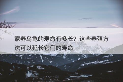 家养乌龟的寿命有多长？这些养殖方法可以延长它们的寿命-图1