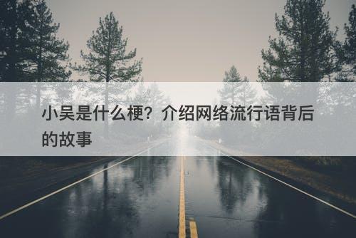 小吴是什么梗？介绍网络流行语背后的故事