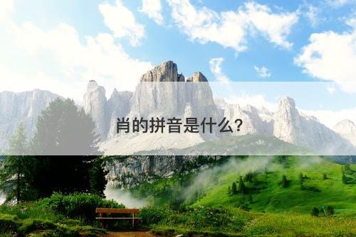 肖的拼音是什么？