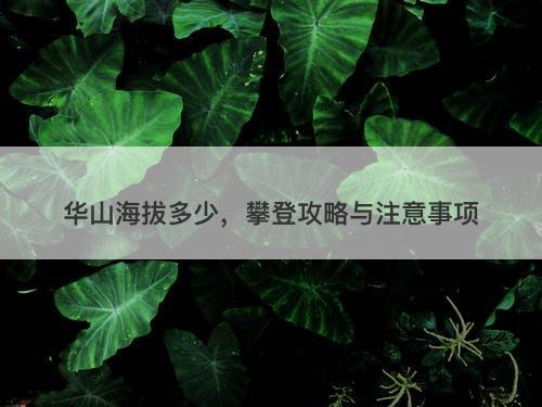 华山海拔多少，攀登攻略与注意事项-图1