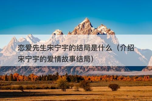 恋爱先生宋宁宇的结局是什么（介绍宋宁宇的爱情故事结局）