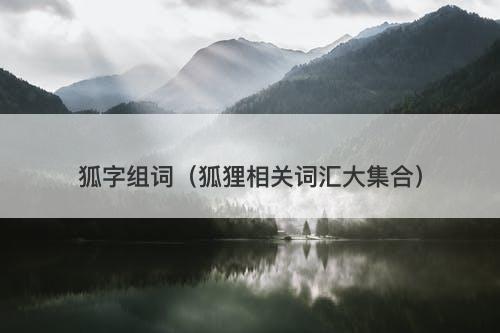 狐字组词（狐狸相关词汇大集合）-图1