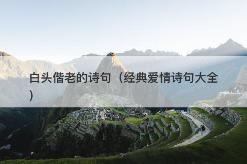 白头偕老的诗句(经典爱情诗句大全)