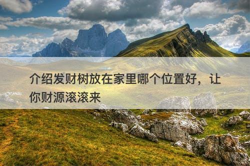 介绍发财树放在家里哪个位置好,让你财源滚滚来
