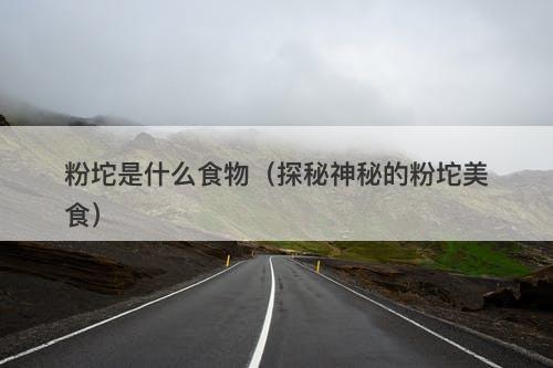 粉坨是什么食物（探秘神秘的粉坨美食）-图1
