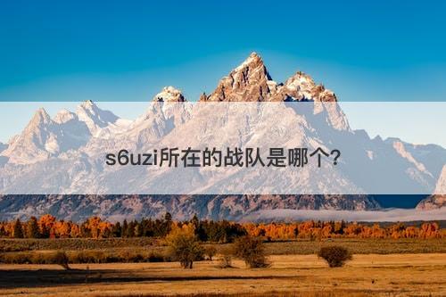 s6uzi所在的战队是哪个？-图1