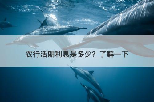 农行活期利息是多少?了解一下