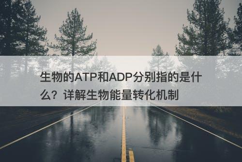 生物的ATP和ADP分别指的是什么？详解生物能量转化机制
