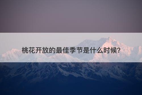 桃花开放的最佳季节是什么时候？