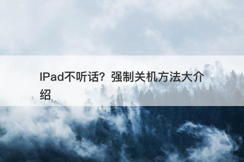 IPad不听话？强制关机方法大介绍