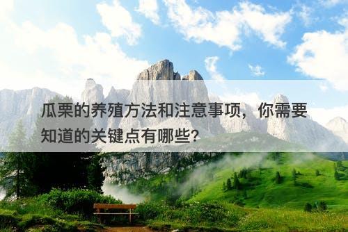 瓜栗的养殖方法和注意事项，你需要知道的关键点有哪些？
