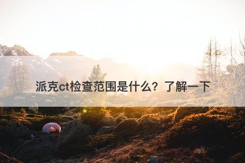 派克ct检查范围是什么？了解一下
