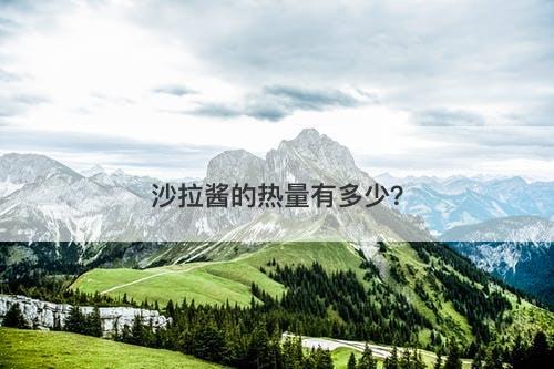 沙拉酱的热量有多少？