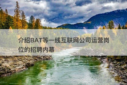 介绍BAT等一线互联网公司运营岗位的招聘内幕-图1